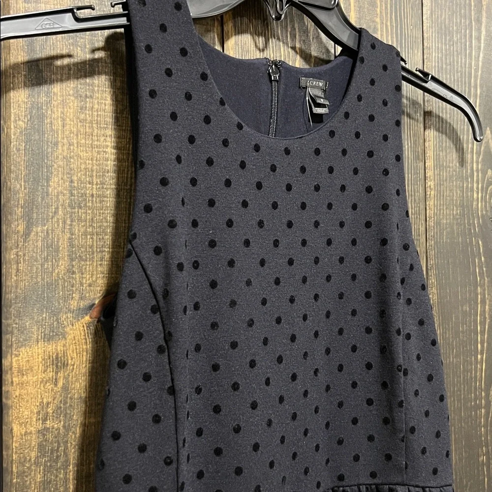 J. Crew Black Velvet Polka Dot Dress‎ S Ponte Preppy Dark Coquette Whimsigoth